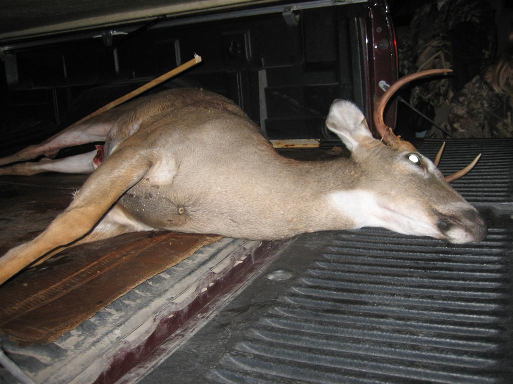 2008 Hunt 56